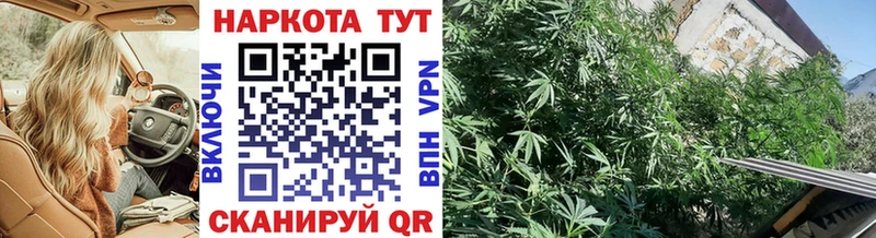 Где можно купить наркотики Тара МЕТАДОН КОКАИН МЕФ A PVP Амфетамин Экстази ГАШИШ Бошки Шишки