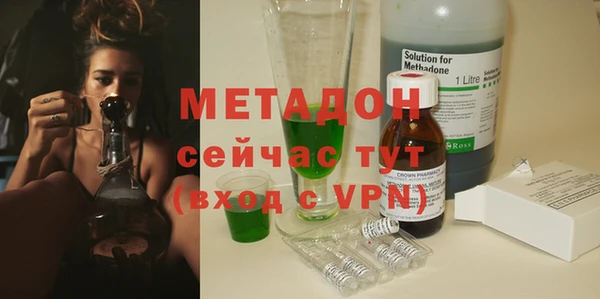 прущие грибы Аркадак