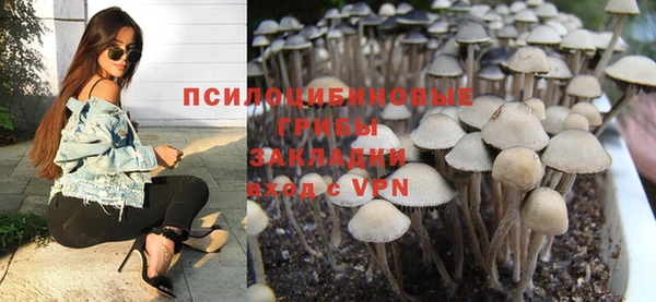 прущие грибы Аркадак
