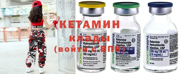 прущие грибы Аркадак