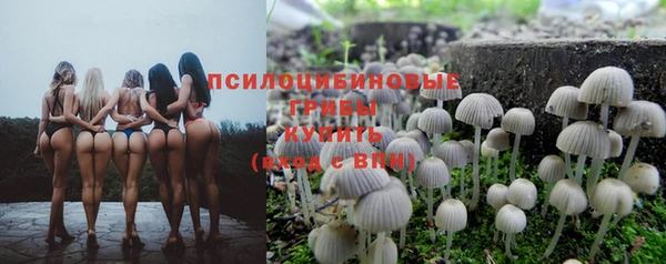 МДПВ Арсеньев