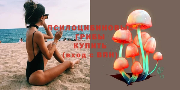 прущие грибы Аркадак