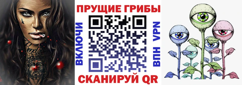 Псилоцибиновые грибы ЛСД  дарнет шоп  Тара 